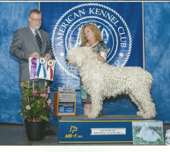 Debbie Miller Team Pic